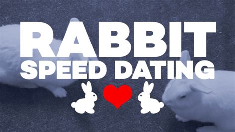rabbit speed dating